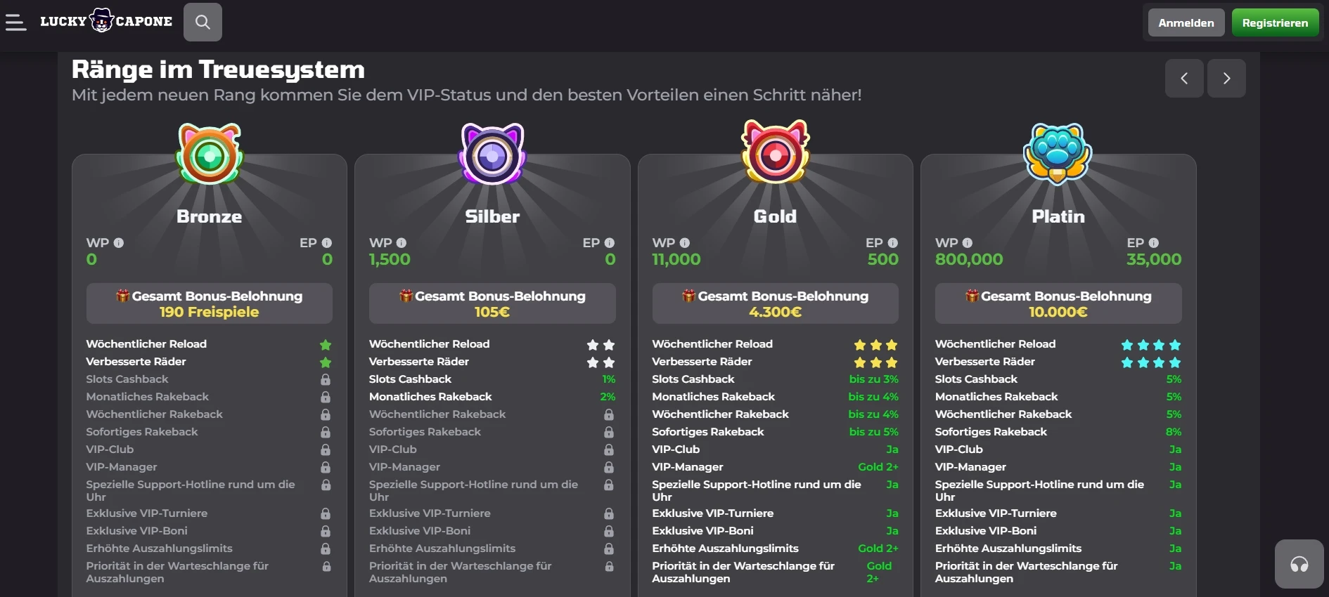 Betninja 6